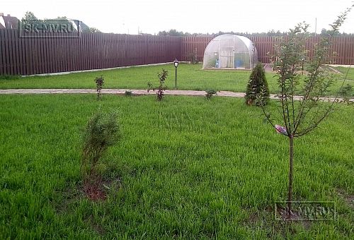 Ландшафтная архитектура участка в Пегелево - 23