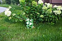 Строительство двухэтажного каркасныого коттеджа с террасой в деревне Порошкино - мини - 22