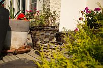 Ландшафтное проектирование участка в Балтийской Ривьере 1 - мини - 3