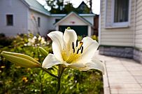 Строительство небольшого двухэтажного каркасного дома 165 кв м с бежевым сайдингом и зеленой крышей в СНТ Учитель - мини - 11