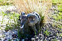 Строительство каркасного двухэтажного дома в п Большая Ижора - мини - 10