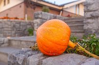 Фото репортаж с места строительства комбинированного дома площадью 1400 кв м с цоколем и СПА в д Пеники Ленобласти - мини - 28