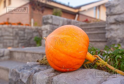 Фото репортаж с места строительства комбинированного дома площадью 1400 кв м с цоколем и СПА в д Пеники Ленобласти - 28