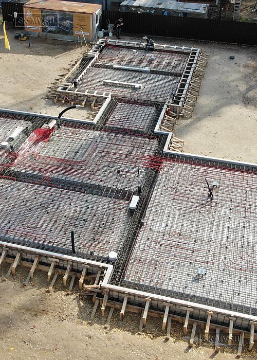 Зеленый бор