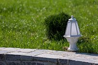 Благоустройство и озеленение участка в д Олики 3 фото - мини - 21