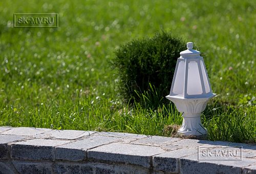 Благоустройство и озеленение участка в д Олики 3 фото - 21