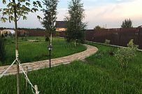 Ландшафтная архитектура участка в Пегелево - мини - 25