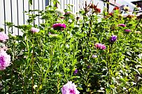 Построенный каркасный теплый дом 150 кв м с эркером и открытой террасой в п Горная Шальдиха - мини - 3