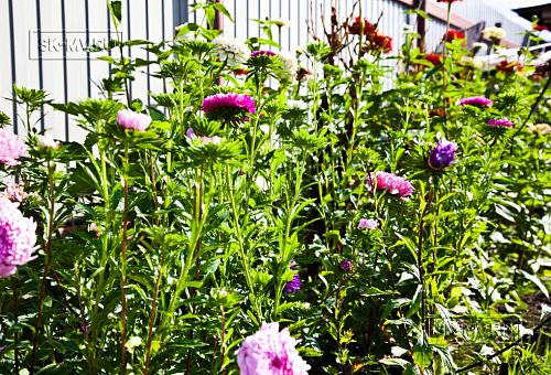 Построенный каркасный теплый дом 150 кв м с эркером и открытой террасой в п Горная Шальдиха - 3