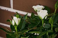 Строительство каркасного теплого зимнего дома 180 кв м для круглогодичного проживания Смартвилль 2 Москва - мини - 12