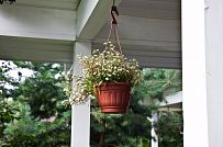 Строительство двухэтажного каркасного дома чуть более 200 кв м в скандинавском стиле в деревне Юкки - мини - 2