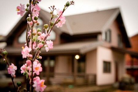 Жостово Москва