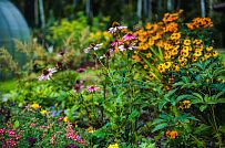 Построенный газобетонный дом в классическом стиле с эркером, балконом, навесом для автомобиля, остекленной верандой и комбинированной фасадной отделкой в кп Сосновое - мини - 10