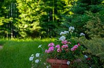 Новорижский 2 - мини - 25