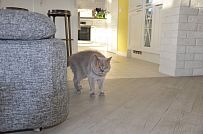 Дизайн интерьера каркасного дома в Оликах 3 - мини - 40