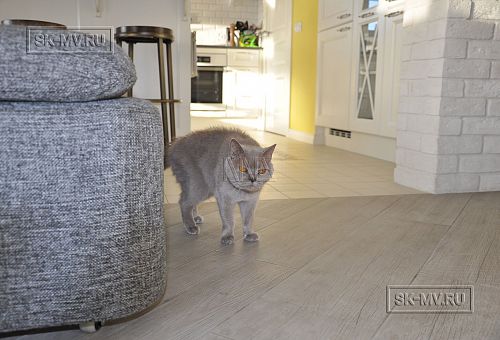 Дизайн интерьера каркасного дома в Оликах 3 - 40