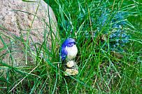 Строительство небольшого теплого зимнего двухэтажного каркасного коттеджа с сауной и верандой в Токсово - мини - 3