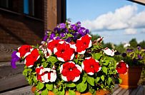 Строительство двухэтажного каркасныого коттеджа с террасой в деревне Порошкино - мини - 27