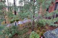 Сосновая аллея - мини - 7