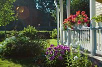 Ландшафтное проектирование участка в Приозерске - мини - 4