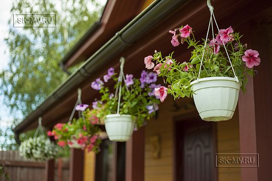 Гостевые дома--9