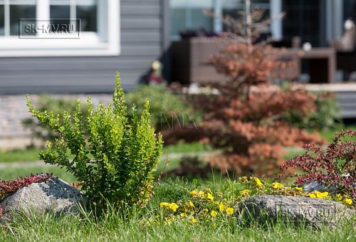 Благоустройство и озеленение участка в д Олики 3 фото - 26