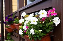 Строительство каркасного дома Приютино 1 площадью 165 кв м с террасой и пятью спальнями в СНП Гранит - мини - 10