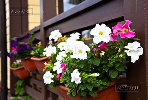 Строительство каркасного дома Приютино 1 площадью 165 кв м с террасой и пятью спальнями в СНП Гранит - 10