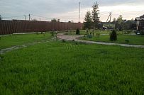 Ландшафтная архитектура участка в Пегелево - мини - 19