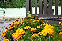 Строительство большого желтого каркасного дома с гаражом и сауной в пгт Сиверский - мини - 27