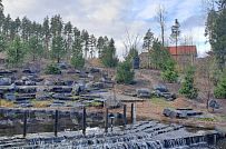 Сосновая аллея - мини - 26