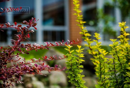 Ландшафтный дизайн участка в Сосновом бору 1 - 5