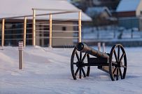 Ландшафтный дизайн участка в Пениках 1 - мини - 5