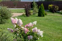 Ландшафтный дизайн участка в Оликах 2 - мини - 10