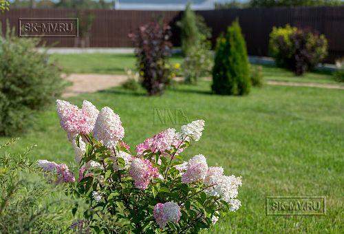 Ландшафтный дизайн участка в Оликах 2 - 10