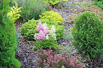 Ландшафтная архитектура участка в Зеркальном - мини - 4