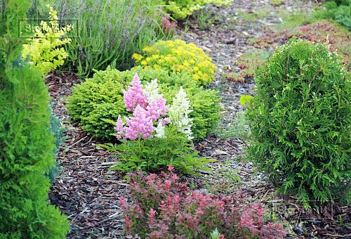 Ландшафтная архитектура участка в Зеркальном - 4