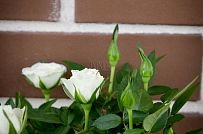 Строительство каркасного теплого зимнего дома 180 кв м для круглогодичного проживания Смартвилль 2 Москва - мини - 8