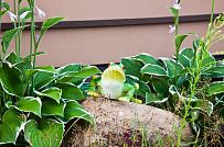 Строительство двухэтажного каркасныого коттеджа с террасой в деревне Порошкино - мини - 21