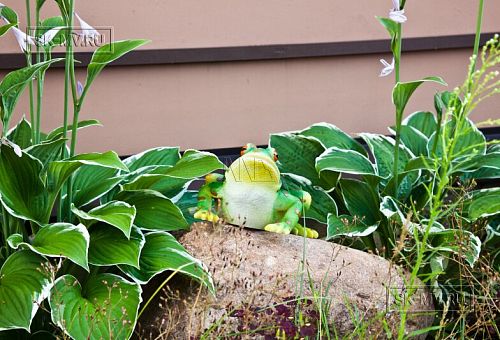 Строительство двухэтажного каркасныого коттеджа с террасой в деревне Порошкино - 21