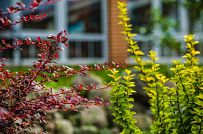 Строительство одноэтажного коттеджа из газобетона с теплой верандой с панорамным остеклением в КП Сосновое - мини - 18