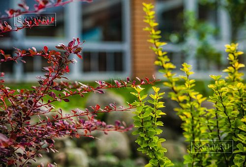 Строительство одноэтажного коттеджа из газобетона с теплой верандой с панорамным остеклением в КП Сосновое - 18