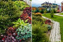 Ландшафтный дизайн участка в Сосновом бору 1 - мини - 2