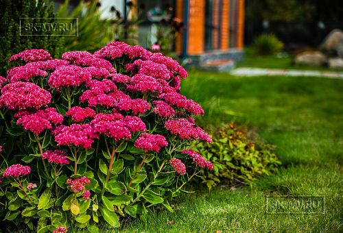 Строительство двухэтажного дома из газобетона с верандой с панорамным остеклением в КП Сосновое - 15