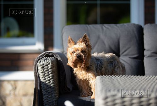 Одноэтажная усадьба в английском стиле в КП Галактика, технология каркас - 31