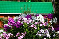 Строительство небольшого двухэтажного каркасного дома 165 кв м с бежевым сайдингом и зеленой крышей в СНТ Учитель - мини - 7