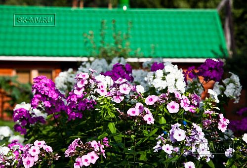 Строительство небольшого двухэтажного каркасного дома 165 кв м с бежевым сайдингом и зеленой крышей в СНТ Учитель - 7