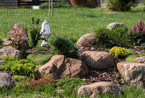 Благоустройство и озеленение участка в д Олики 3 фото - 22