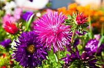 Построенный каркасный теплый дом 150 кв м с эркером и открытой террасой в п Горная Шальдиха - мини - 8