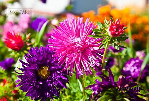 Построенный каркасный теплый дом 150 кв м с эркером и открытой террасой в п Горная Шальдиха - 8